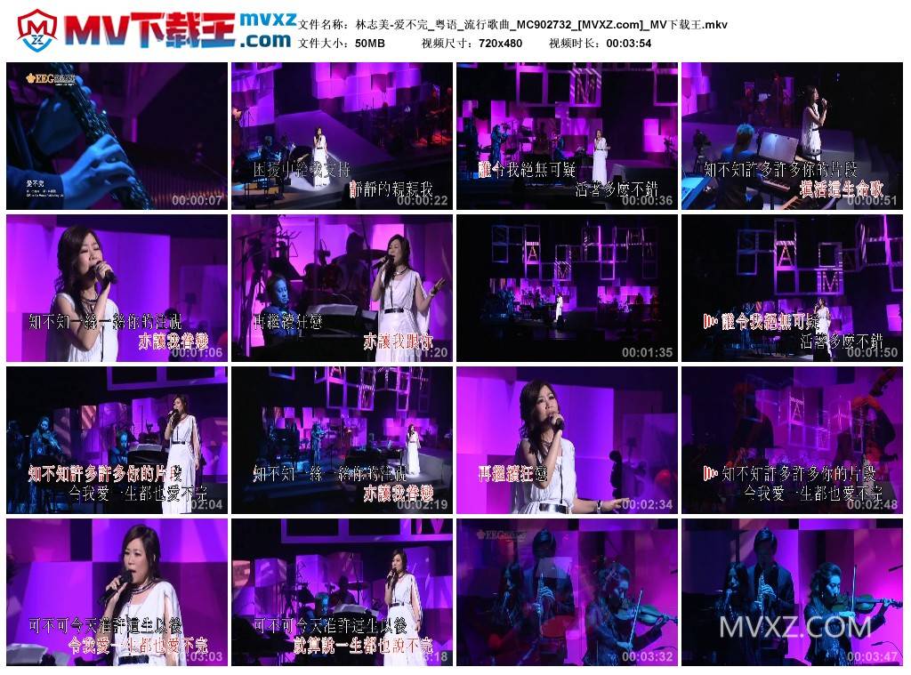 林志美-爱不完_粤语_流行歌曲_MC902732